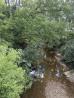 Newell Run